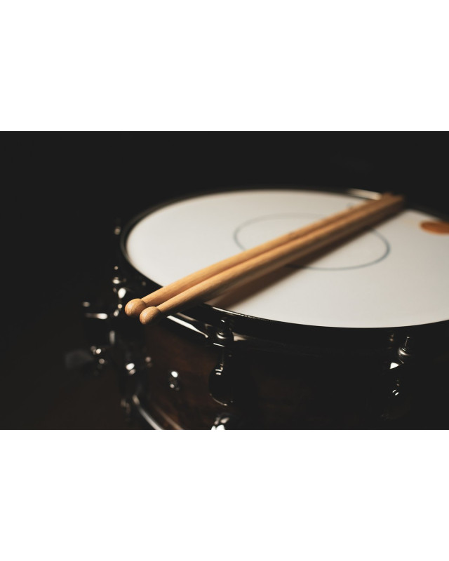 MEINL Stick & Brush - Luke Holland Signature Drumstick