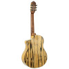 Ortega 1B-BYWSM Billy Watman Signature Nylon String Guitar 6-String + Gig Bag