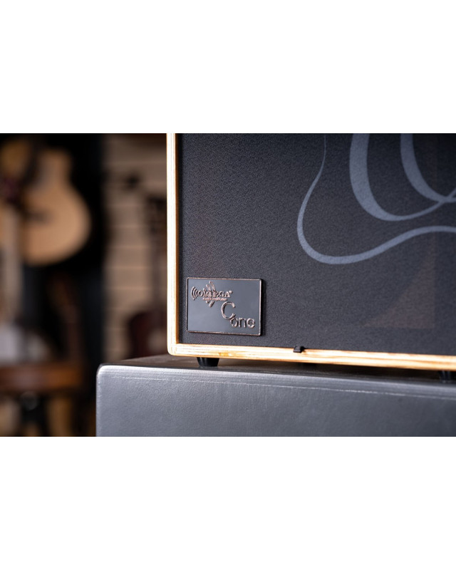 Ortega 1B-CONE-ASH Amplification Serie Amplifier Combo
