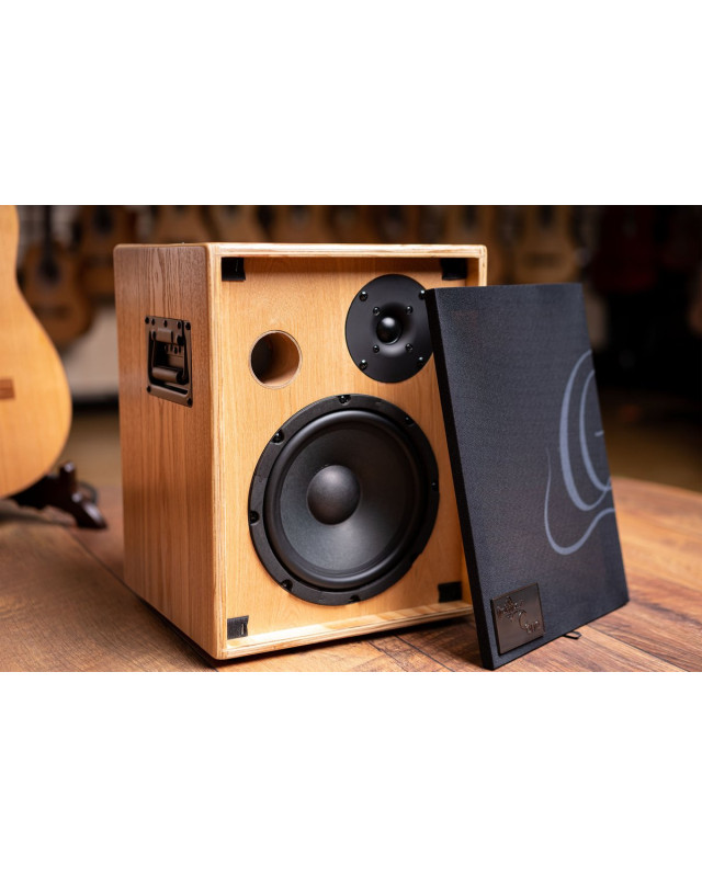Ortega 1B-CONE-ASH Amplification Serie Amplifier Combo