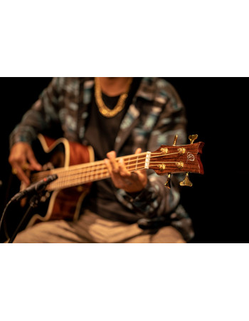 Ortega 1B-D8CE-4 Deep Series 8 Medium Scale Acoustic Bass 4 String - Spruce / Mahogany Black