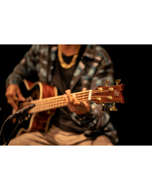 Ortega 1B-D8CE-4 Deep Series 8 Medium Scale Acoustic Bass 4 String - Spruce / Mahogany Black