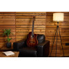 Ortega 1B-EXOTICSUIT The Private Room 4/4 Nylon String Guitar 6-String - Natural + Gig Bag