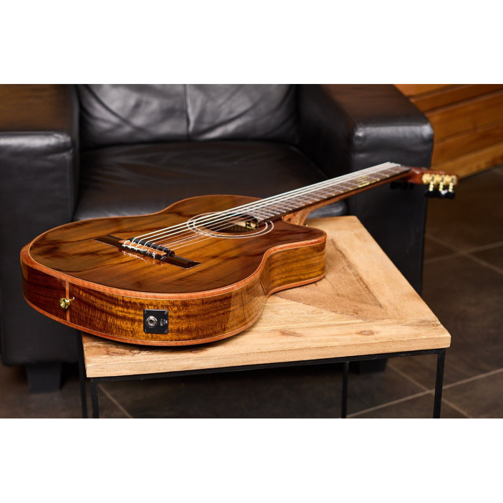 Ortega 1B-EXOTICSUIT The Private Room 4/4 Nylon String Guitar 6-String - Natural + Gig Bag