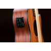 Ortega 1B-LIZZY-PRO Lizard Series Short Scale Fretless Uke Bass 4 String - Solid Mahogany Natural + Bag