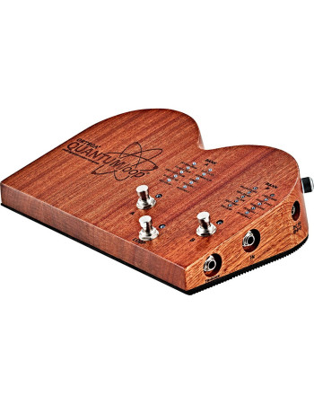 Ortega 1B-QUANTUMLOO Stomp Box Effect Series Stomp Box & Looper