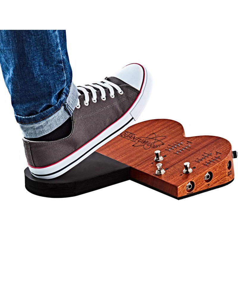 Ortega 1B-QUANTUMLOO Stomp Box Effect Series Stomp Box & Looper
