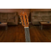 Ortega 1B-RCE138-T4 Performer Series 4/4 Thinline Classical Guitar 6-String - Natural + Gig Bag