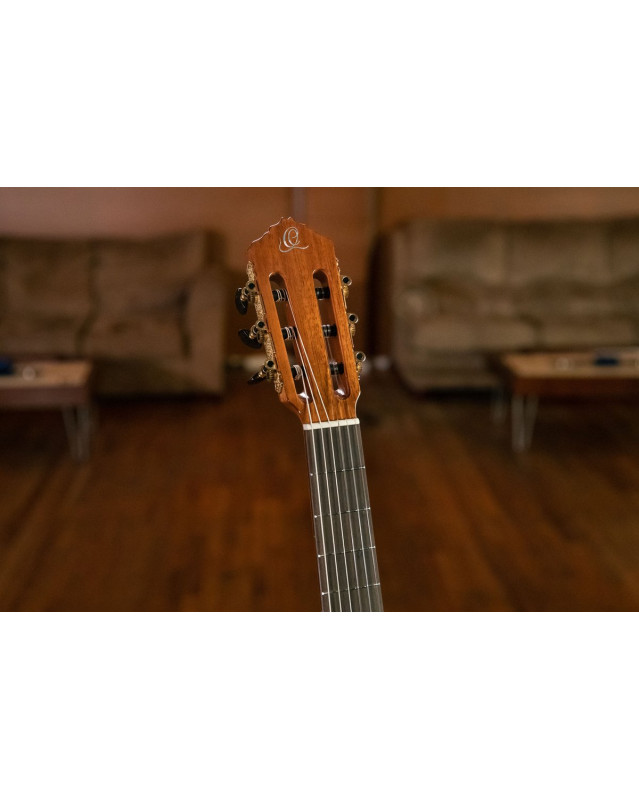 Ortega 1B-RCE138-T4 Performer Series 4/4 Thinline Classical Guitar 6-String - Natural + Gig Bag