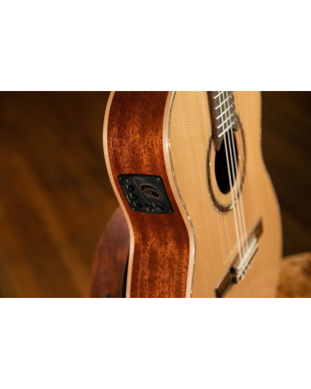 Ortega 1B-RCE138-T4 Performer Series 4/4 Thinline Classical Guitar 6-String - Natural + Gig Bag