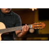 Ortega 1B-RCE138-T4 Performer Series 4/4 Thinline Classical Guitar 6-String - Natural + Gig Bag