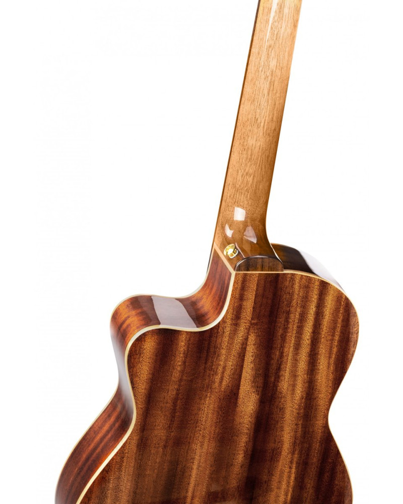 Ortega 1B-RCE138-T4 Performer Series 4/4 Thinline Classical Guitar 6-String - Natural + Gig Bag