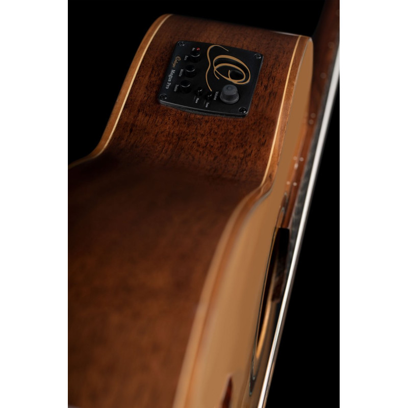 Ortega 1B-RCE158SN Performer Series 4/4 Classical Guitar 6-String - Natural + Gig Bag