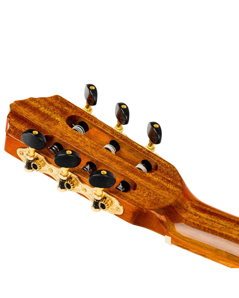 Ortega 1B-RCE170F Family Series Pro 4/4 Acoustic Guitar 6 String - Solid Spruce / Cypress Gloss Stain Yellow + Gig Bag