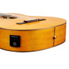 Ortega 1B-RCE170F-L Family Series Pro 4/4 Acoustic Guitar 6 String Lefty - Solid Spruce / Cypress Gloss Stain Yellow + G