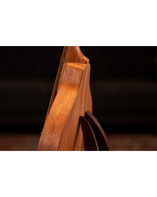 Ortega 1B-RMA5NA-L A-Style Series Mandoline 8 String Lefty - Mahogany Natural