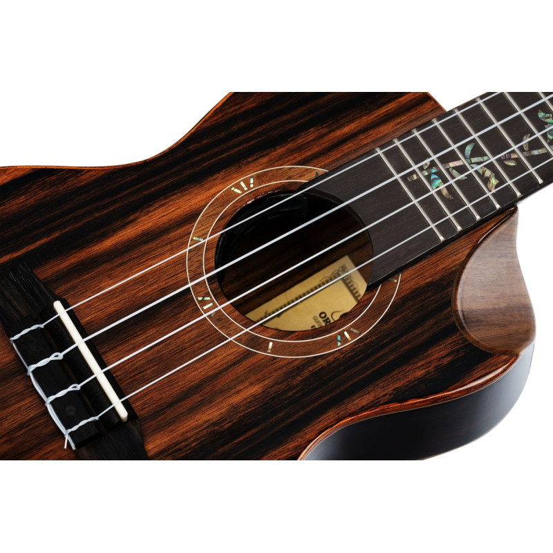 Ortega 1B-RUET-EB Elite Series Concert Ukulele 4 String - solid Ebony top + Bag