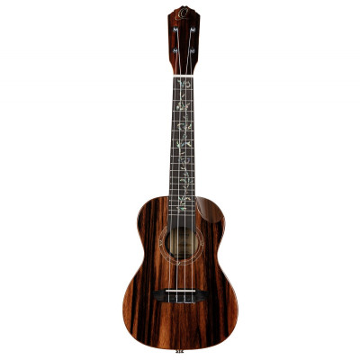 Ortega 1B-RUET-EB Elite Series Concert Ukulele 4 String - solid Ebony top + Bag