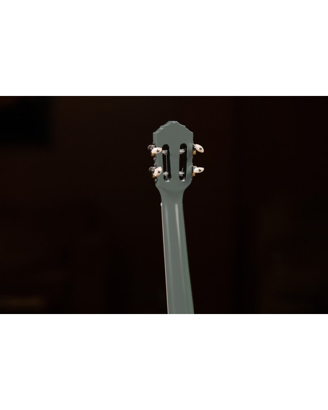 Ortega 1B-RUGA-PLT Gaucho Series Ukulele 4 String - Platinum Grey + Bag