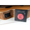Ortega ABP-5 Custom Made Strings Pro - Acoustic Bass 5 String