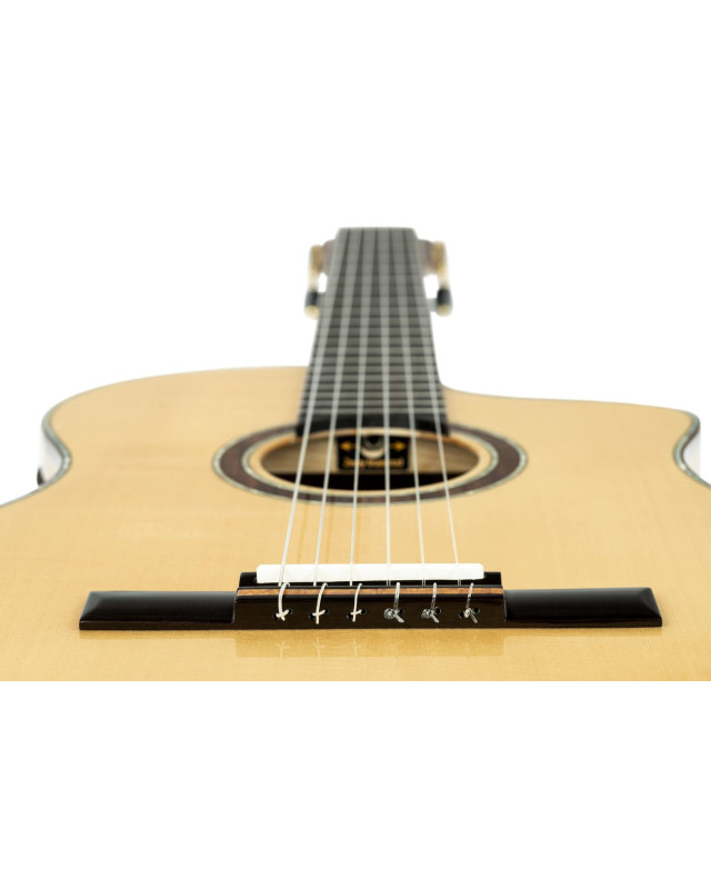 Ortega BYWSM Billy Watman Signature Nylon String Guitar 6-String + Gig Bag