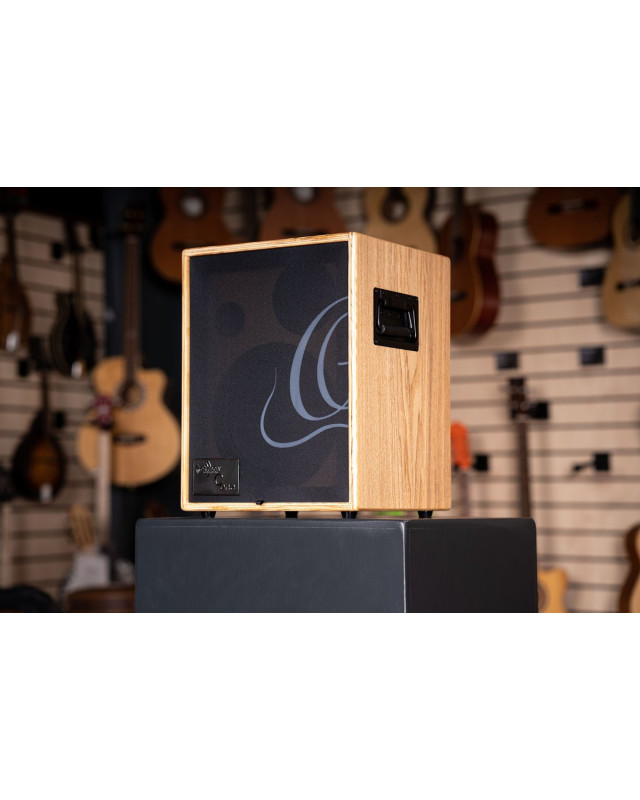 Ortega CONE-ASH Amplification Series Amplifier Combo