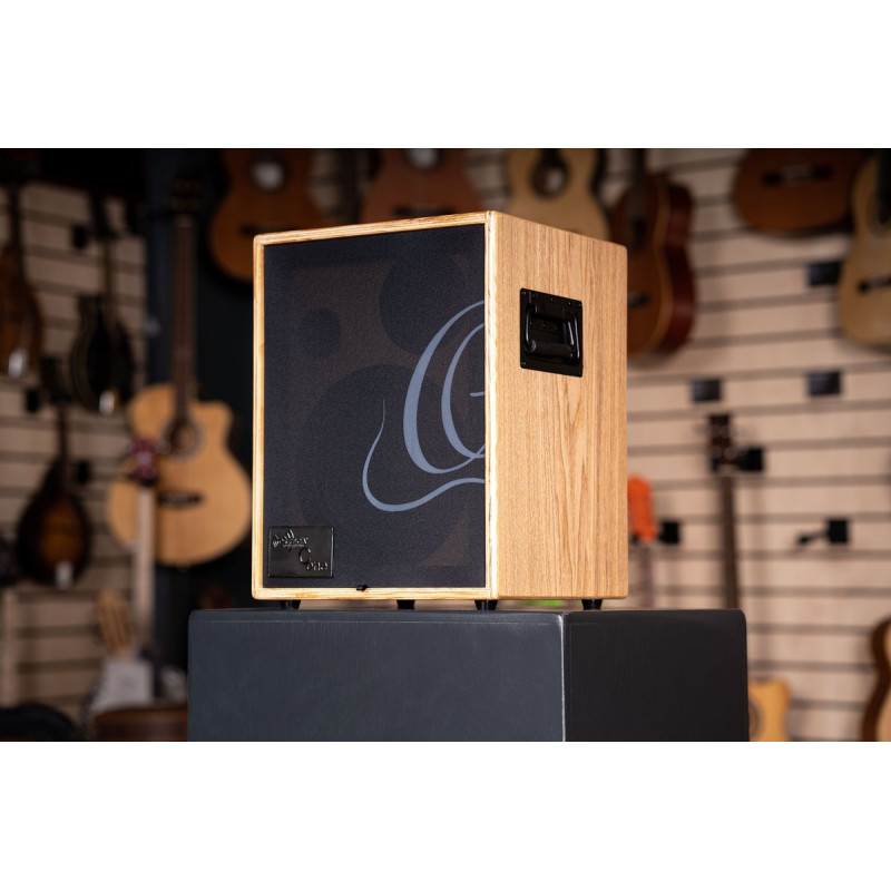 Ortega CONE-ASH Amplification Series Amplifier Combo