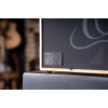 Ortega CONE-ASH Amplification Series Amplifier Combo