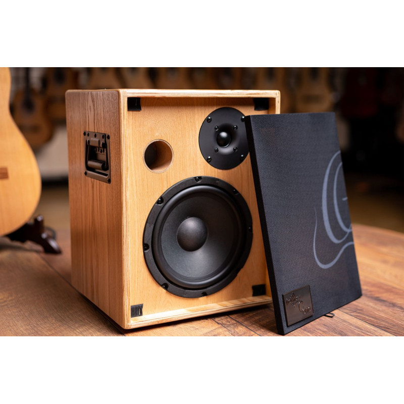 Ortega CONE-ASH Amplification Series Amplifier Combo