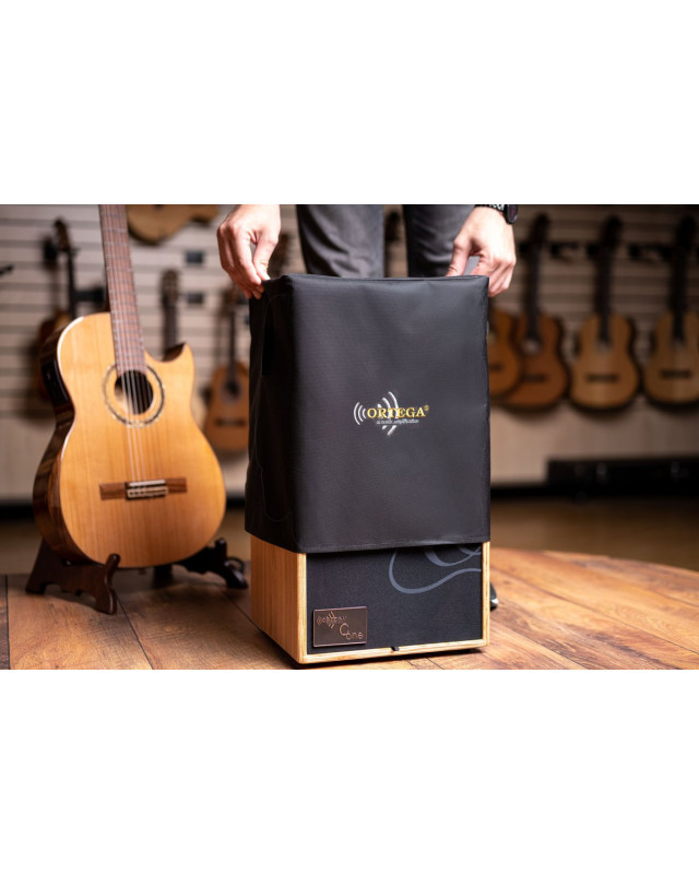 Ortega CONE-ASH Amplification Series Amplifier Combo