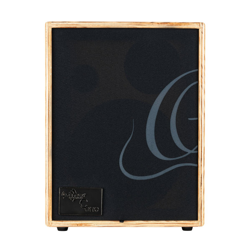 Ortega CONE-ASH Amplification Series Amplifier Combo