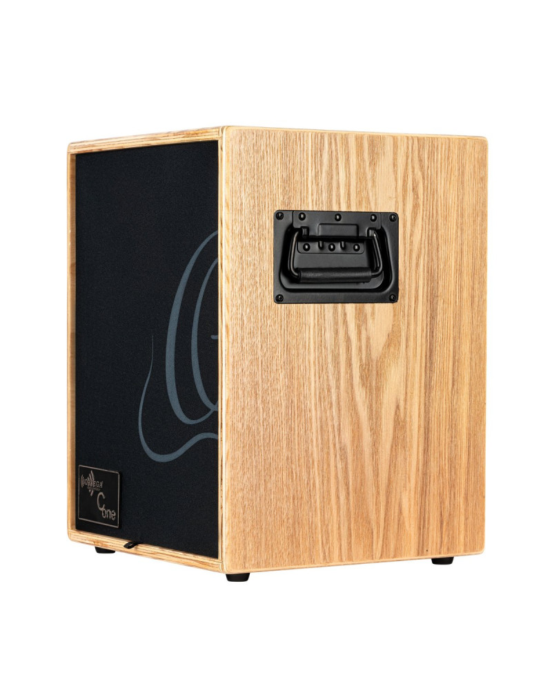 Ortega CONE-ASH Amplification Series Amplifier Combo