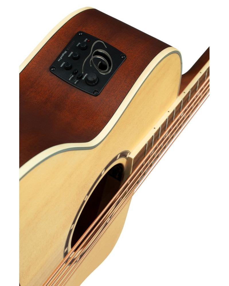 Ortega D7CE-5 Deep Series 7 Acoustic Bass 5 String