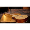 Ortega D7CE-5 Deep Series 7 Acoustic Bass 5 String