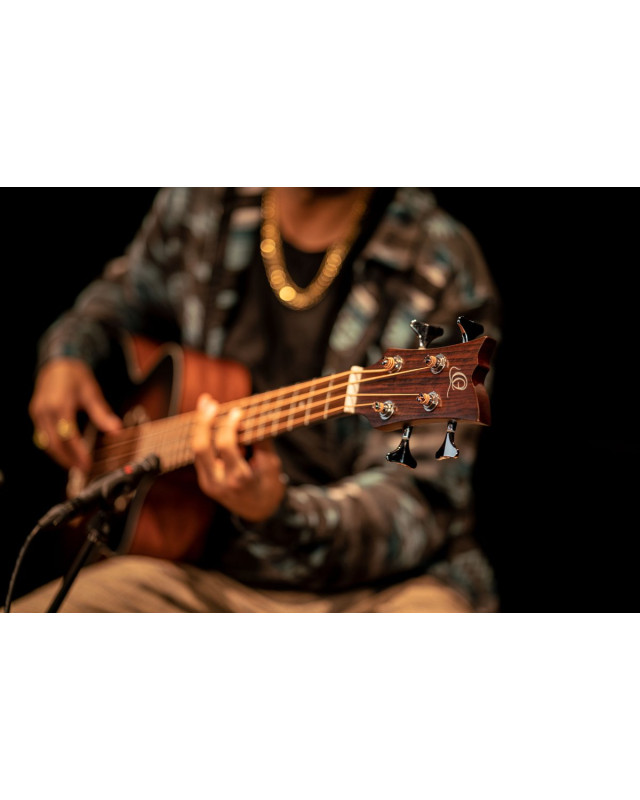 Ortega D7CE-BFT-4 Deep Series 7 Medium Scale Acoustic Bass 4 String - Spruce / Mahogany Bourbon Fade