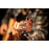 Ortega D7E-4 Deep Series 7 Medium Scale Acoustic Bass 4 String - Spruce / Mahogany Natural