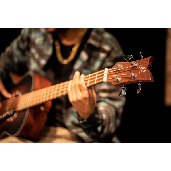 Ortega D7E-BFT-4 Deep Series 7 Medium Scale Acoustic Bass 4 String - Spruce / Mahogany Bourbon Fade