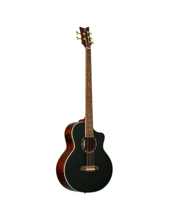 Ortega D8CE-5 Deep Series 8 Acoustic Bass 5 String