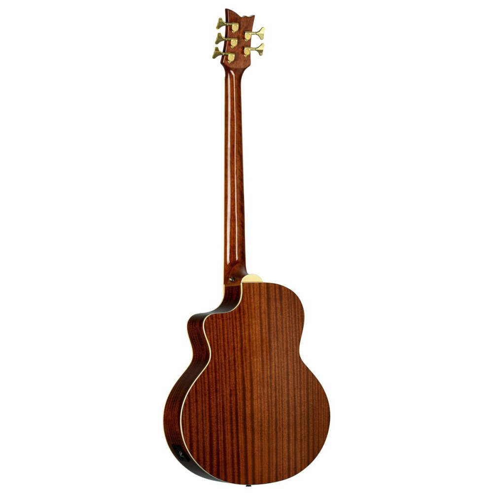 Ortega D8CE-5 Deep Series 8 Acoustic Bass 5 String
