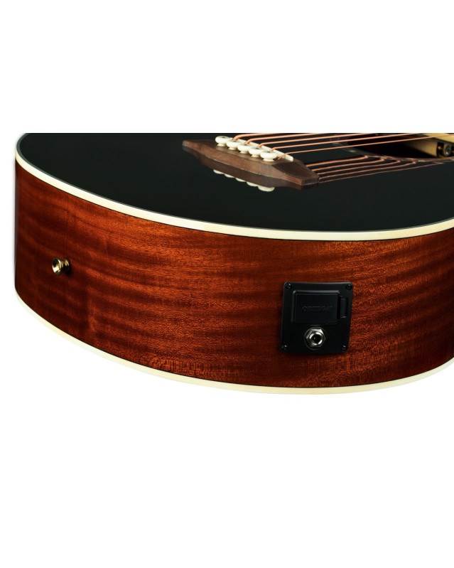 Ortega D8CE-5 Deep Series 8 Acoustic Bass 5 String