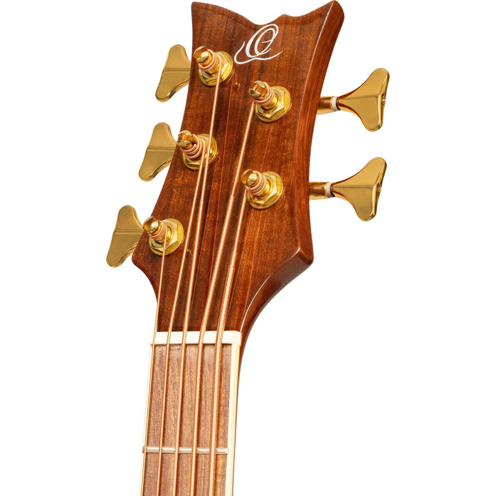 Ortega D8CE-5-L Deep Series Acoustic Bass 5-String Lefty - Medium Scale