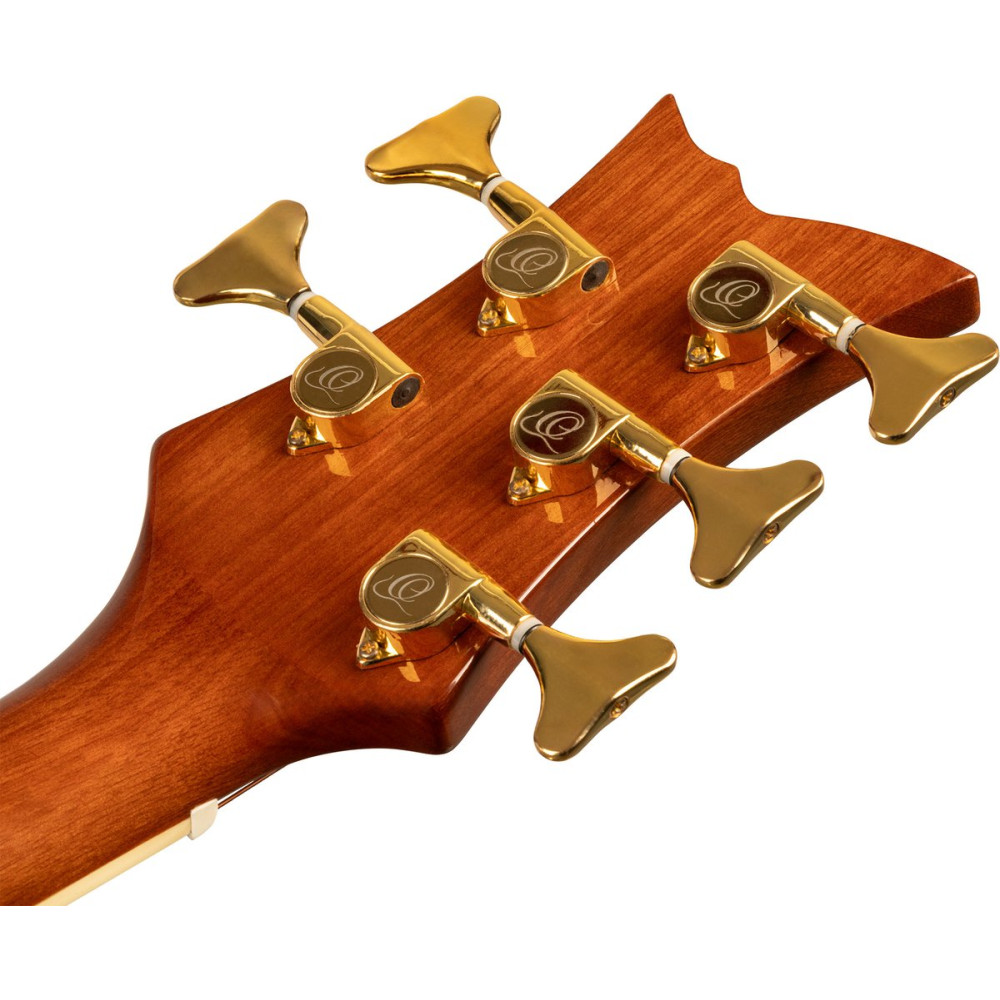 Ortega D8CE-5-L Deep Series Acoustic Bass 5-String Lefty - Medium Scale