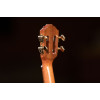 Ortega ECLIPSE-CC4 Custom Built Series Concert Ukulele 4 String - Solid Mahogany Natural + Bag