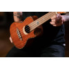 Ortega ECLIPSE-CC4 Custom Built Series Concert Ukulele 4 String - Solid Mahogany Natural + Bag