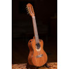 Ortega ECLIPSE-TE8 Custom Built Series Tenor Ukulele 8 String - Solid Mahogany Natural + Bag