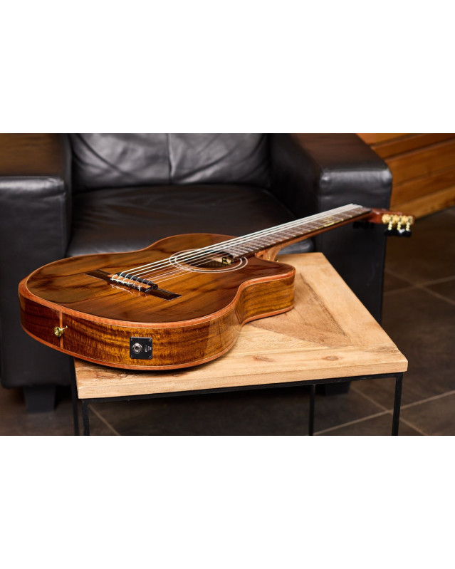 Ortega EXOTICSUITECE The Private Room 4/4 Nylon String Guitar 6-String - Natural + Gig Bag