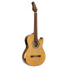 Ortega FLAMETAL-TWO Ben Woods Signature Nylon String Guitar 6-String + Ben Woods Gigbag