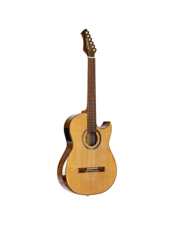 Ortega FLAMETAL-TWO Ben Woods Signature Nylon String Guitar 6-String + Ben Woods Gigbag