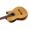 Ortega FLAMETAL-TWO Ben Woods Signature Nylon String Guitar 6-String + Ben Woods Gigbag