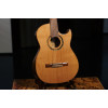 Ortega FLAMETAL-TWO Ben Woods Signature Nylon String Guitar 6-String + Ben Woods Gigbag